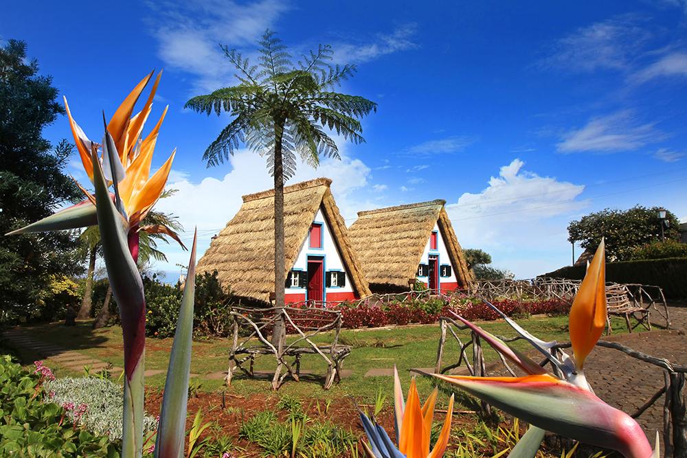 Minibus Tour - Santana (East Tour) – Madeira adventure tours, Lokoloko