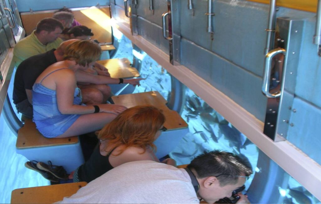 Glass Bottom Boat Trip – Madeira adventure tours, Lokoloko