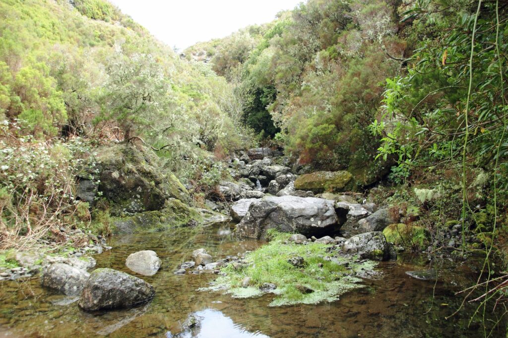 Rabacal - 25 Fountains - Full Day Tour – Madeira adventure tours, Lokoloko