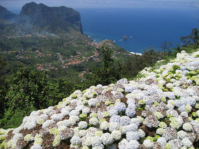 Referta do Castelejo - Half-day Tour – Madeira adventure tours, Lokoloko
