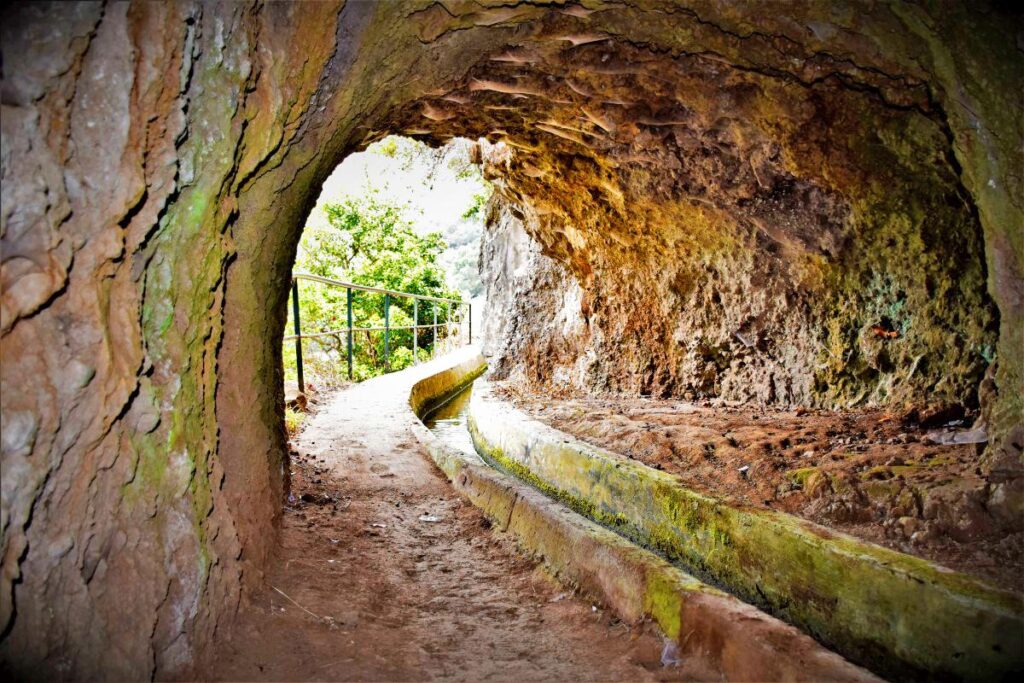 Lokoloko walks and experiences rota do acucar 1 – Lokoloko Madeira