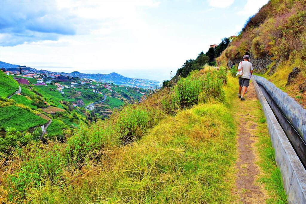 Rota do Vinho - Half-day Tour – Madeira adventure tours, Lokoloko