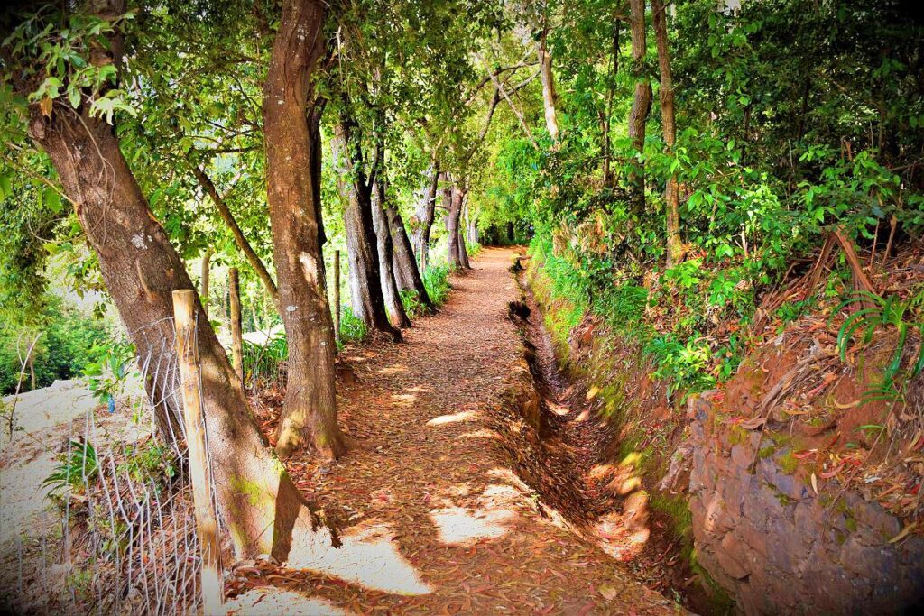 Vale paraíso - Half-day Tour – Madeira adventure tours, Lokoloko