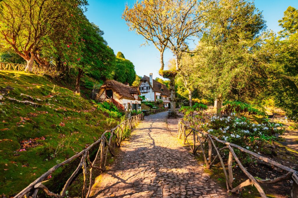 Queimadas - Full Day Tour – Madeira adventure tours, Lokoloko