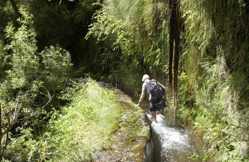 Boa Morte - Quinta Grande - Half-day Tour – Madeira adventure tours, Lokoloko