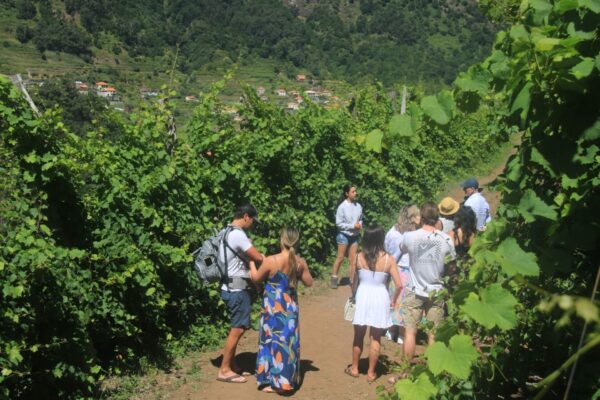 lokoloko-jeep-tour-wine-safari-10